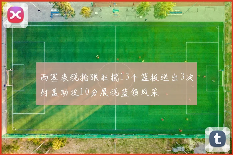 西塞表现抢眼狂揽13个篮板送出3次封盖助攻10分展现蓝领风采
