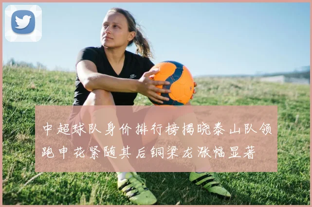 中超球队身价排行榜揭晓泰山队领跑申花紧随其后铜梁龙涨幅显著