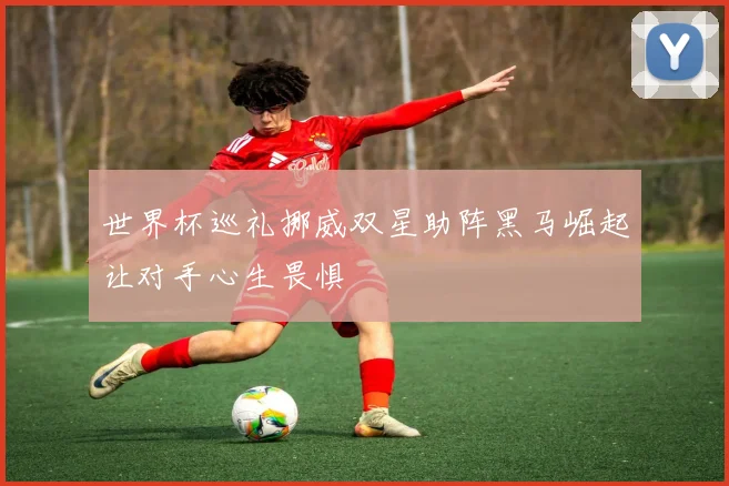 世界杯巡礼挪威双星助阵黑马崛起让对手心生畏惧