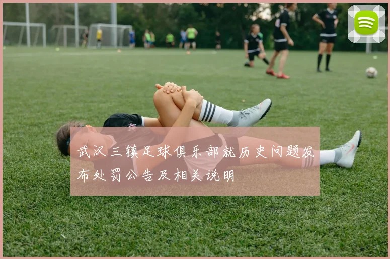武汉三镇足球俱乐部就历史问题发布处罚公告及相关说明